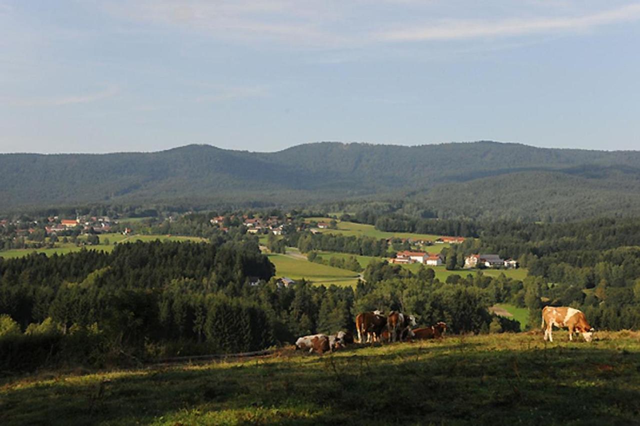 Exenbacher Hof - Pension Arnbruck Eksteriør billede